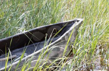 Canoe waiting in the grass - Okavango delta, Botswana