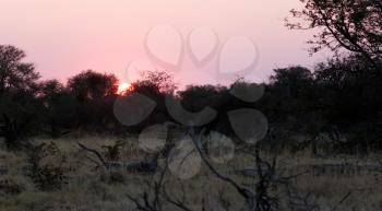 Pink sunset in the Makgadikgadi pans, Botswana