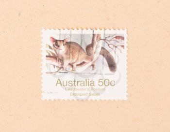 AUSTRALIA - CIRCA 1980: A stamp printed in Australia shows a Leadbeater's Possum, circa 1980