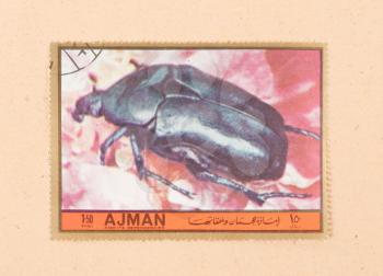UNITED ARAB EMIRATES - CIRCA 1972: A stamp printed in the United Arab Emirates shows a beetle, circa 1972