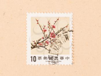 CHINA - CIRCA 1970: A stamp printed in China shows a tree, circa 1970
