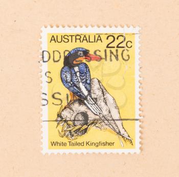 AUSTRALIA - CIRCA 1980: A stamp printed in Australia shows a white tailed kingfisher, circa 1980