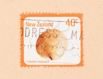 NEW ZEALAND - CIRCA 1980: A stamp printed in New Zealand shows a shell (Coarse Dosinia), circa 1980
