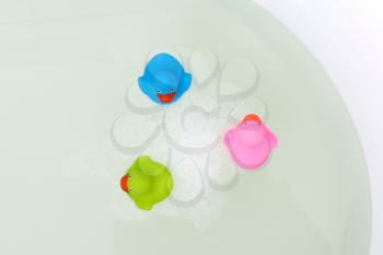 Pink, green and blue duck in a bathtub, surrounded by soap
