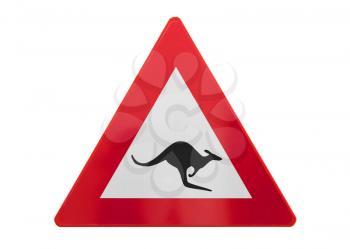 Traffic sign isolated - Kangaroo - Isolated on white