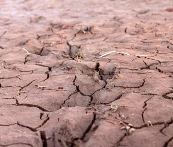 Dry ground on Madagascar, waiting for the rain