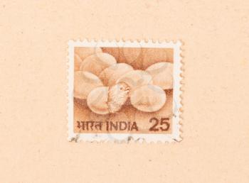 INDIA - CIRCA 1970: A stamp printed in India shows eggs with a chick, circa 1970