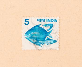 INDIA - CIRCA 1970: A stamp printed in India shows some fish, circa 1970