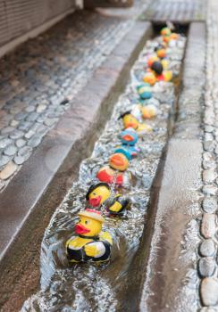 Bath ducks in Freiburg Bächle - Selective focus