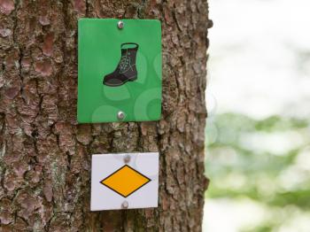 Walking path sign in a tree in Germany - Schwarzwald