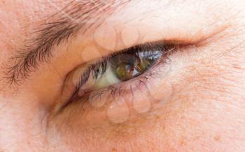 Close up of a female eye - Selective focus