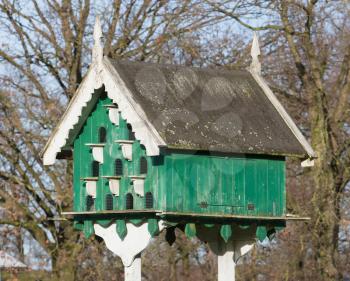 Old green birdhouse for pigeons - Selective focus