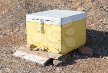 Beehive with bees in Greece - Selective focus