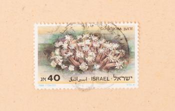 ISRAEL - CIRCA 1980: A stamp printed in Israel shows a plant, circa 1980