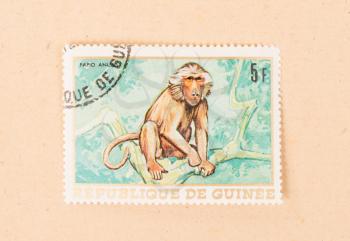 PAPUA NEW GUINEA - CIRCA 1980: A stamp printed in Papua New Guinea shows a monkey, circa 1980