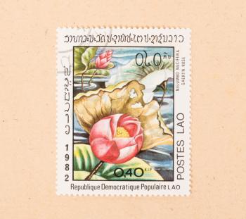 LAOS - CIRCA 1980: A stamp printed in Laos shows a flower, circa 1980