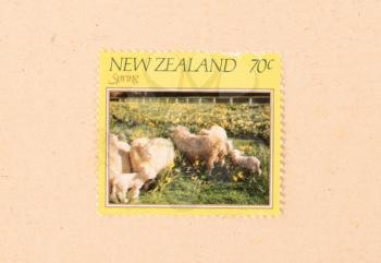 NEW ZEALAND - CIRCA 1980: A stamp printed in New Zealand shows spring in the country, circa 1980