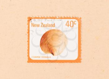 NEW ZEALAND - CIRCA 1980: A stamp printed in New Zealand shows a Coarse Dosinia, circa 1980