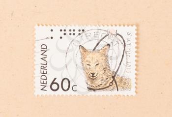 THE NETHERLANDS 1980: A stamp printed in the Netherlands shows a dog, circa 1980