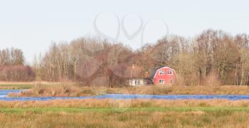 Old dutch house in the typical dutch wet landscape