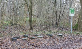 Fitness equipment in a forest - One stage of many - Netherlands