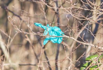 Green glove hanging in a tree - Garbage in nature