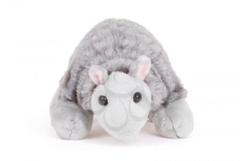Pluche armadillo toy isolated on a white background