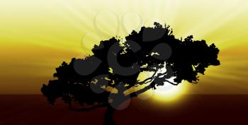 Exotic sunrise or sunset - Silhouette of a large tree