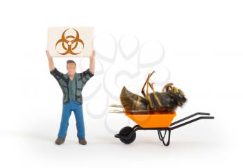 Miniature man with a sign - dead wasp - isolated