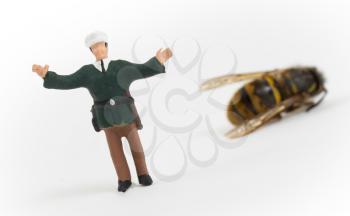 Miniature police officer guarding a crime scene - dead wasp - isolated