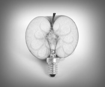 Apple lightbulb, concept of green energy - isolated on white