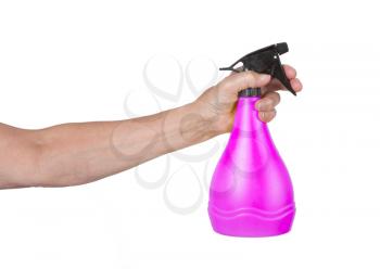 Sprayer in the hand of an old woman, isolated on white