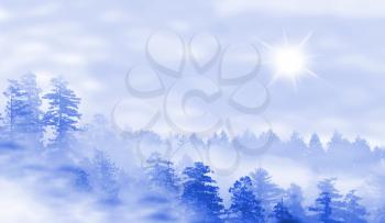 Landscape of misty forest at sunrise - concept of mystery - blue