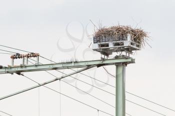 Stork nest on top of a railroad construction, the Netherlands