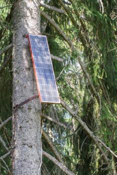Solar panel attached to a large tree, Switzerland