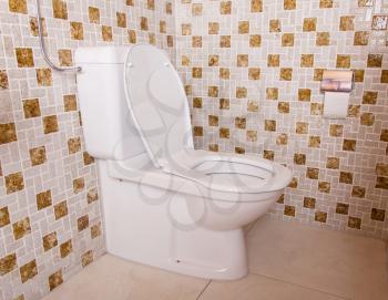 Old clean toilet with old tiles (80s)