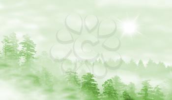 Landscape of misty forest at sunrise - concept of mystery - green