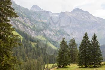 Typical view of the Swiss alps, trees and mountains