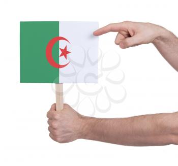 Hand holding small card, isolated on white - Flag of Algeria