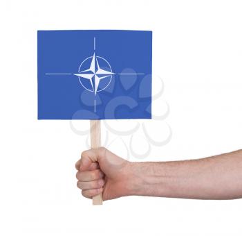 Hand holding small card, isolated on white - Flag of NATO