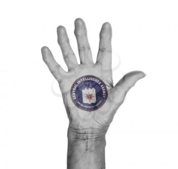 Palm of a woman hand, painted with flag of the CIA
