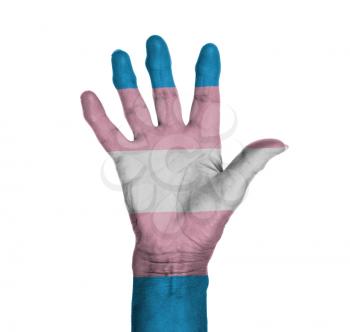 Palm of a woman hand, painted with flag of Trans Pride