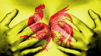 Upper part of female body, hands covering breasts, flag of Wallonia