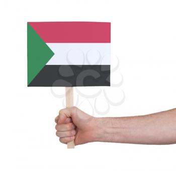 Hand holding small card, isolated on white - Flag of Sudan