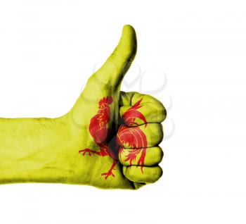 Closeup of male hand showing thumbs up sign, flag of Wallonia