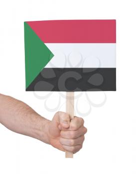 Hand holding small card, isolated on white - Flag of Sudan