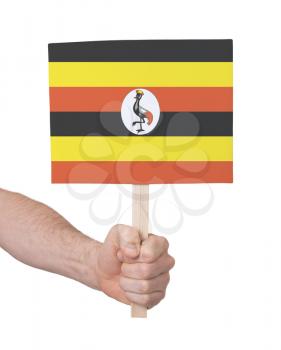 Hand holding small card, isolated on white - Flag of Uganda