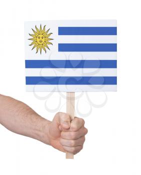 Hand holding small card, isolated on white - Flag of Uruguay