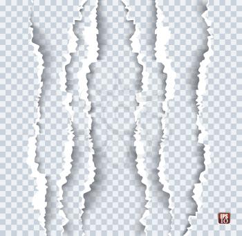 Vector illustration of torn paper with ripped edges and shadow on transparent background. Graphic concept for your design.