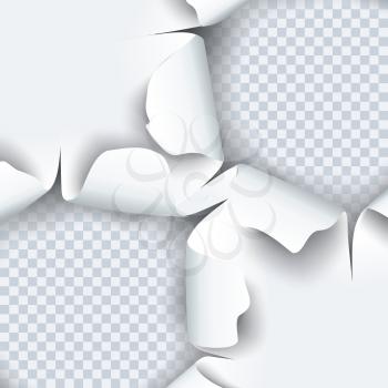 Vector illustration of torn paper with ripped edges and shadow. Graphic concept for your design.
